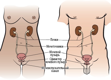 В Сети обсуждают эффективные способы экономить деньги. Выбрали 10 полезных советов